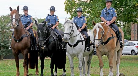 Support Enacted for the Owners of Retired Police Horses