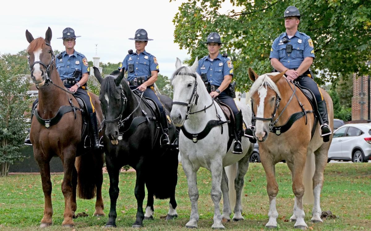 Support Enacted for the Owners of Retired Police Horses